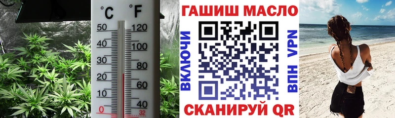 как найти закладки  Шахунья  ТГК вейп с тгк 